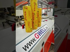 Ligne d'extrusion de film de coulée à l'adhérence en PVC