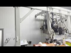 Production de feuilles de décoration PETG brillant/mat (zhenghao)