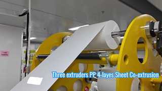 Ligne d'extrusion de feuilles de thermoformage PP à haute efficacité 4 couches
